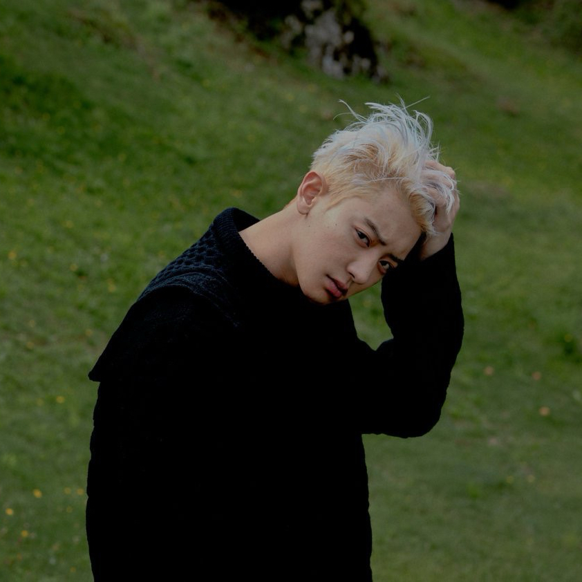灿烈 (EXO)的幕后花絮
