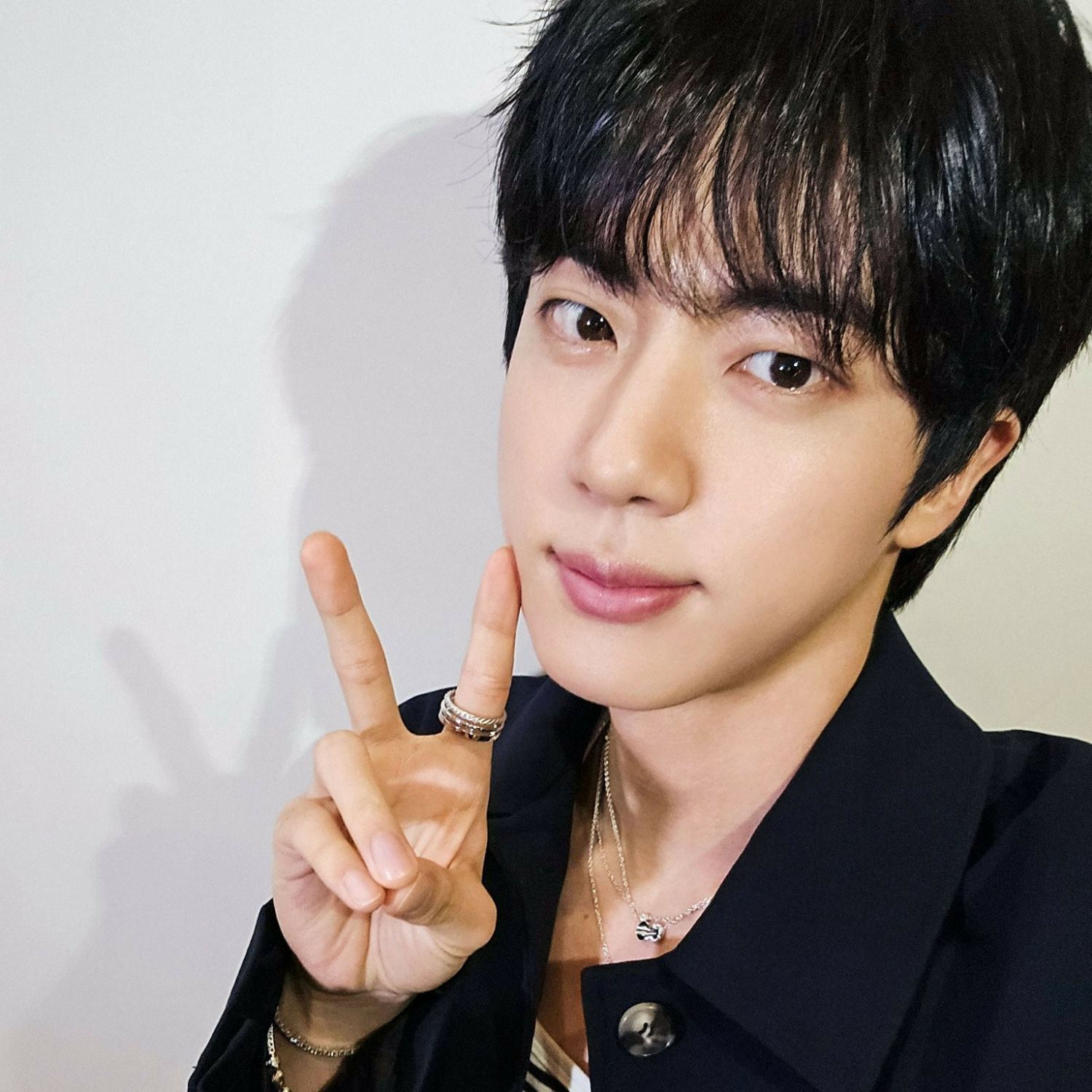 Behind-the-scenes cut of Jin (BTS)