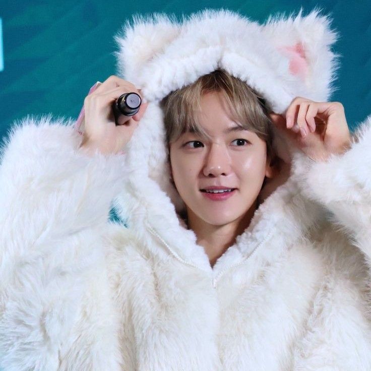 伯賢 (EXO)的最新照片