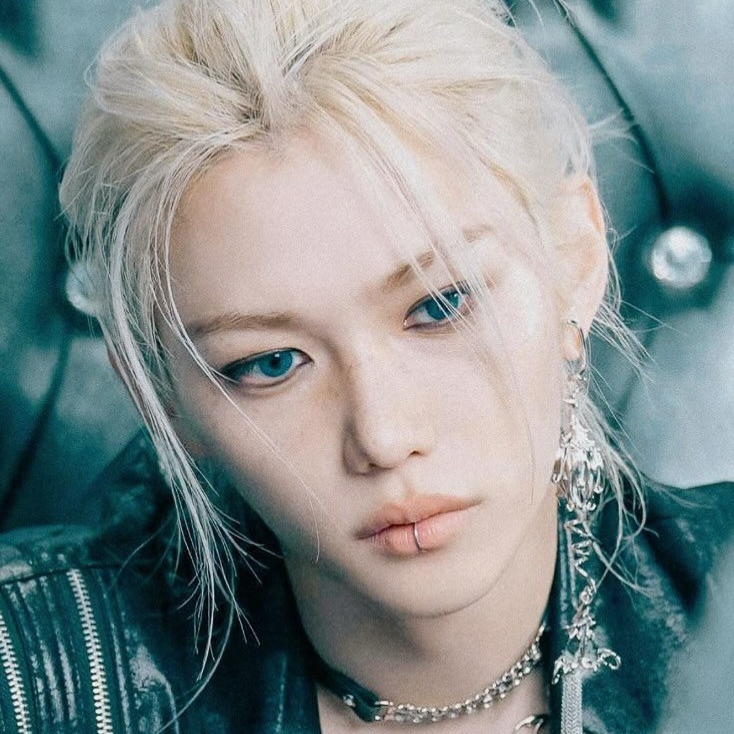 필릭스 (Stray Kids) 팬이 찍은 순간