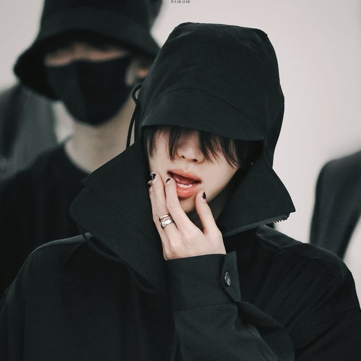 세븐틴 팬이 찍은 순간