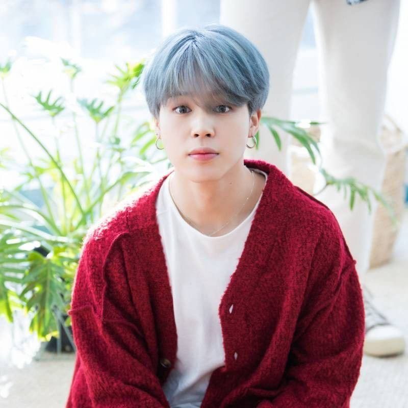 지민 (방탄소년단) 팬이 찍은 순간