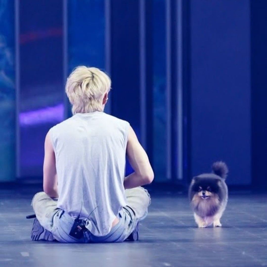 V (BTS)の最近の活動写真