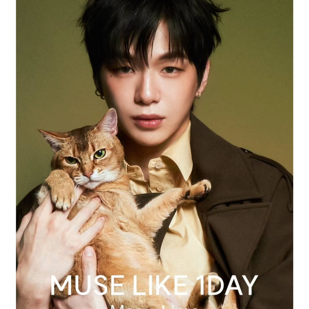 姜丹尼爾的最新活動照片