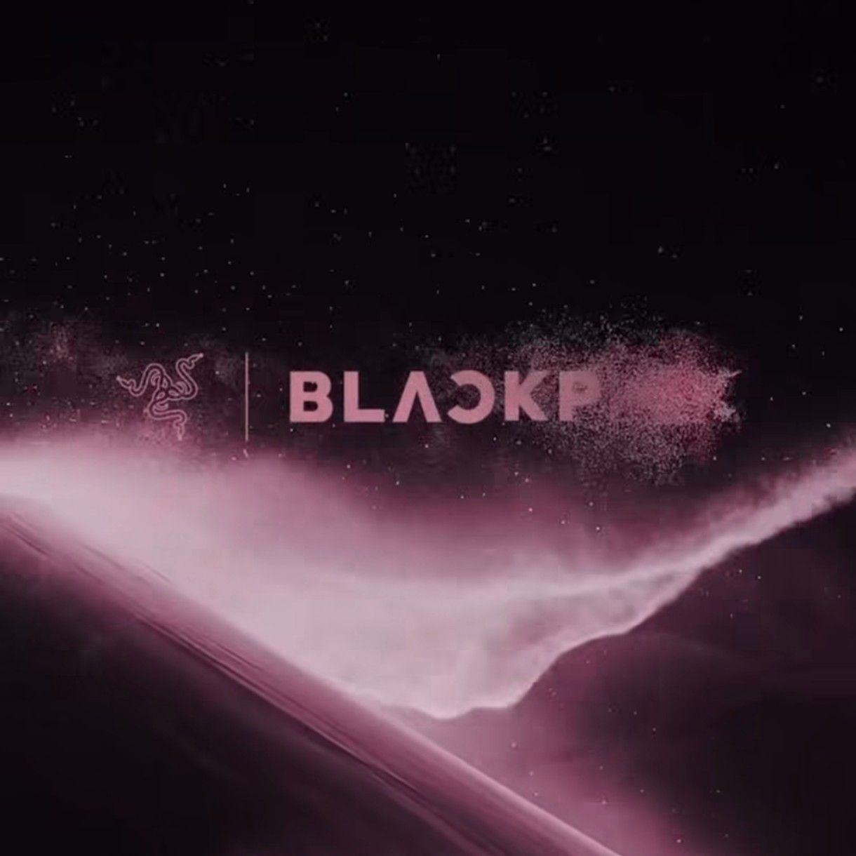 BLACKPINK粉丝拍下的瞬间