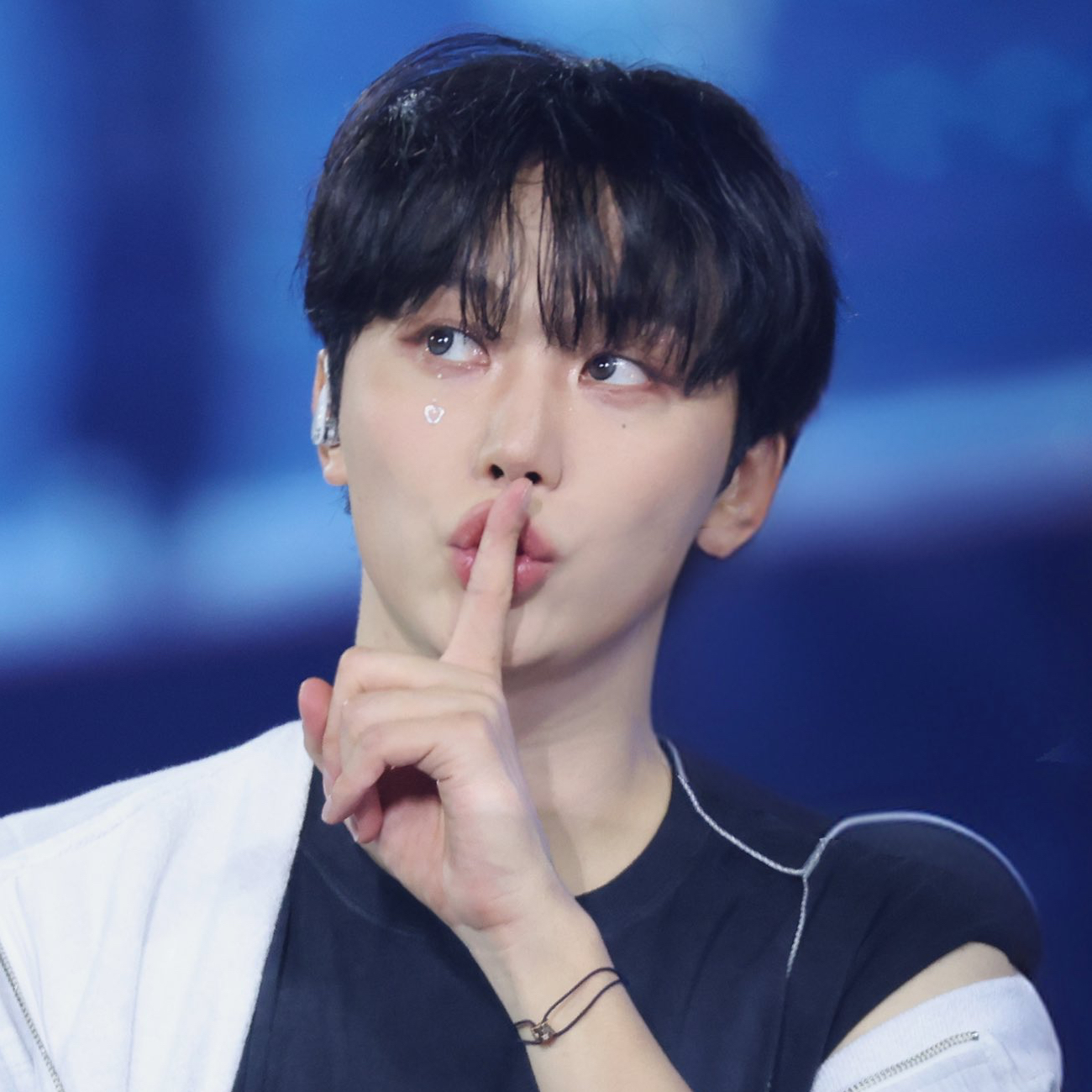 세븐틴 팬이 찍은 순간
