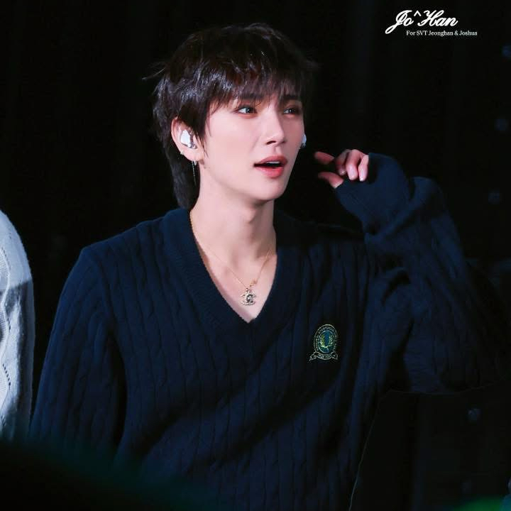 A moment captured by Joshua (SEVENTEEN)'s fan