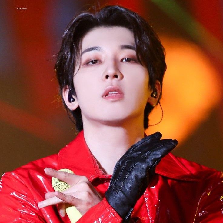 A moment captured by Wonwoo (SEVENTEEN)'s fan