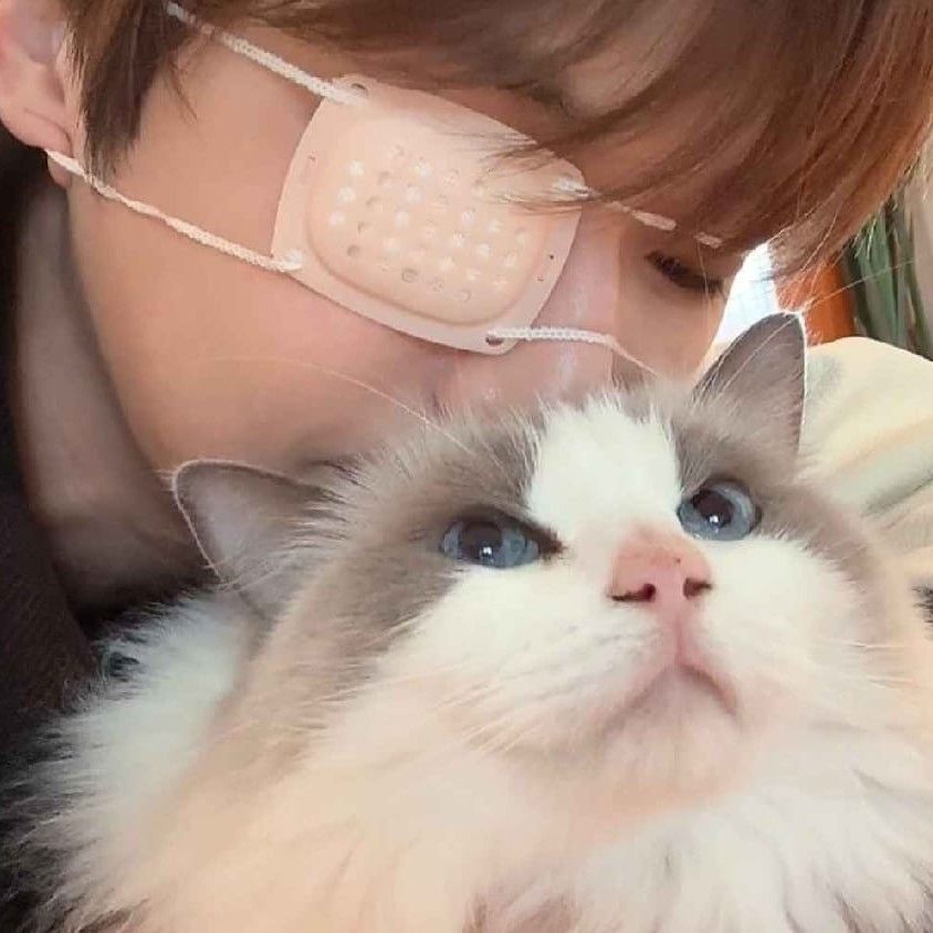 Behind-the-scenes cut of Kang Daniel