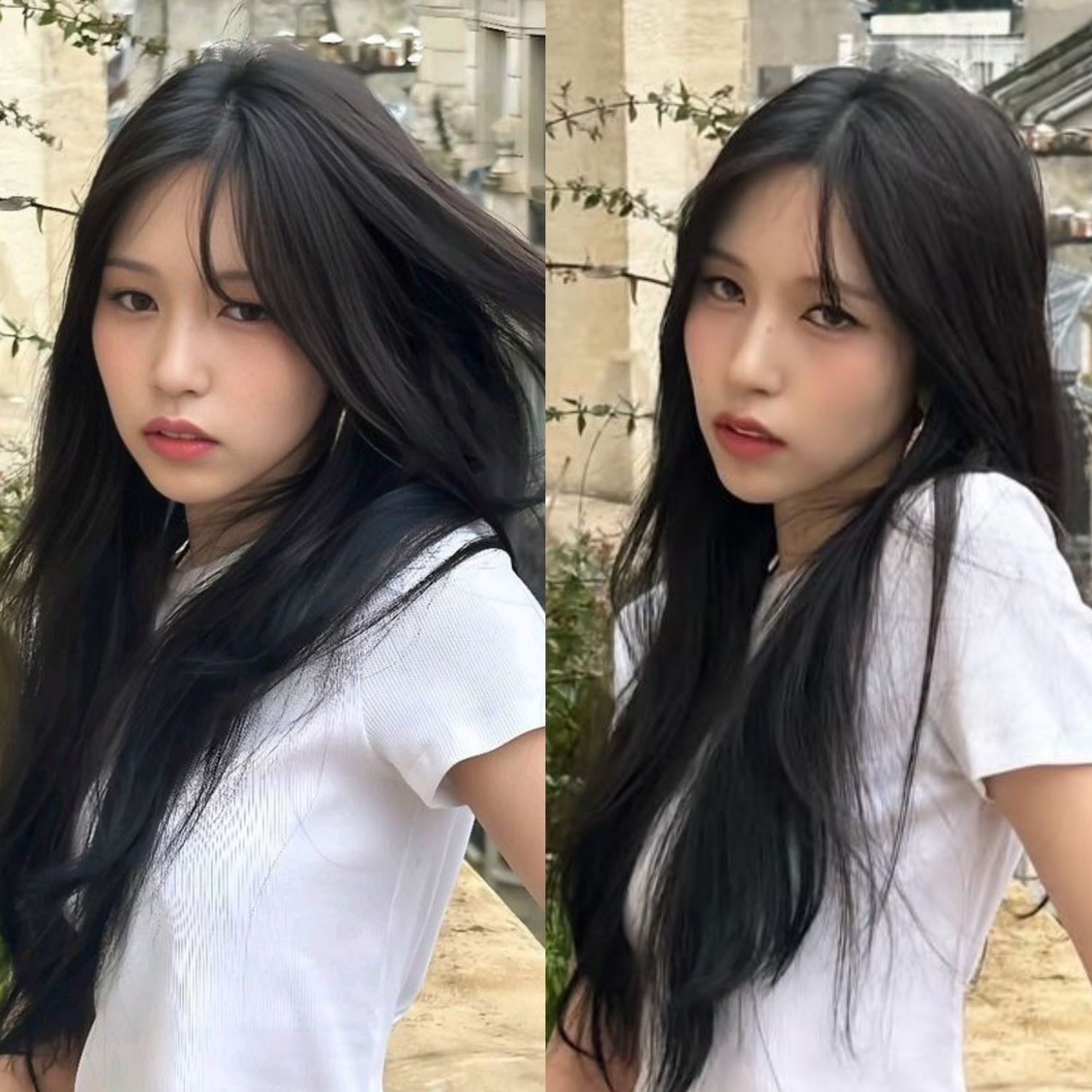 Mina (TWICE)的幕後花絮