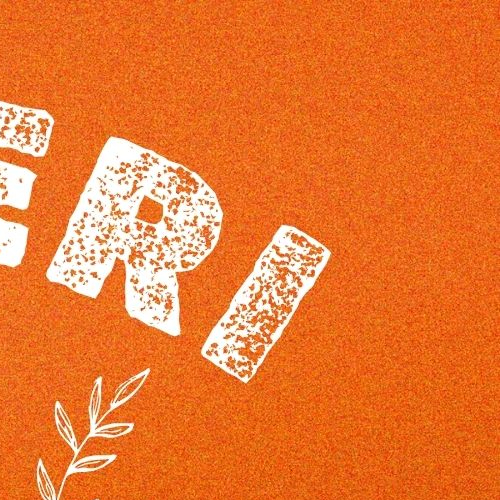 A moment captured by AleXa's fan