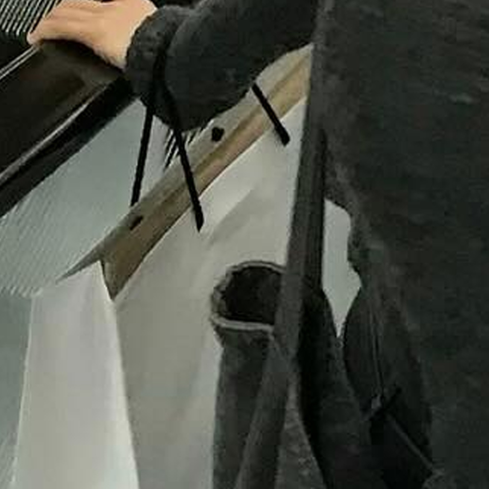 A moment captured by Go Won (Loossemble)'s fan