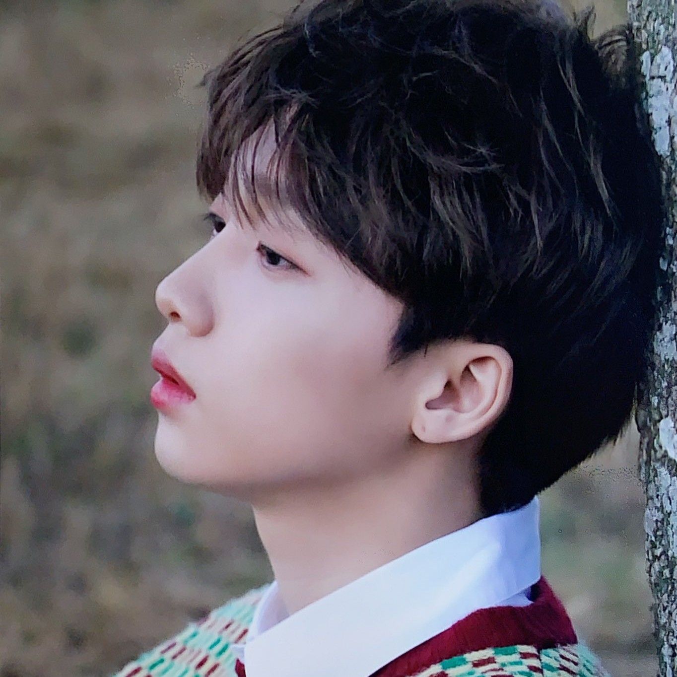 Recent activity shot of Jeong Sewoon