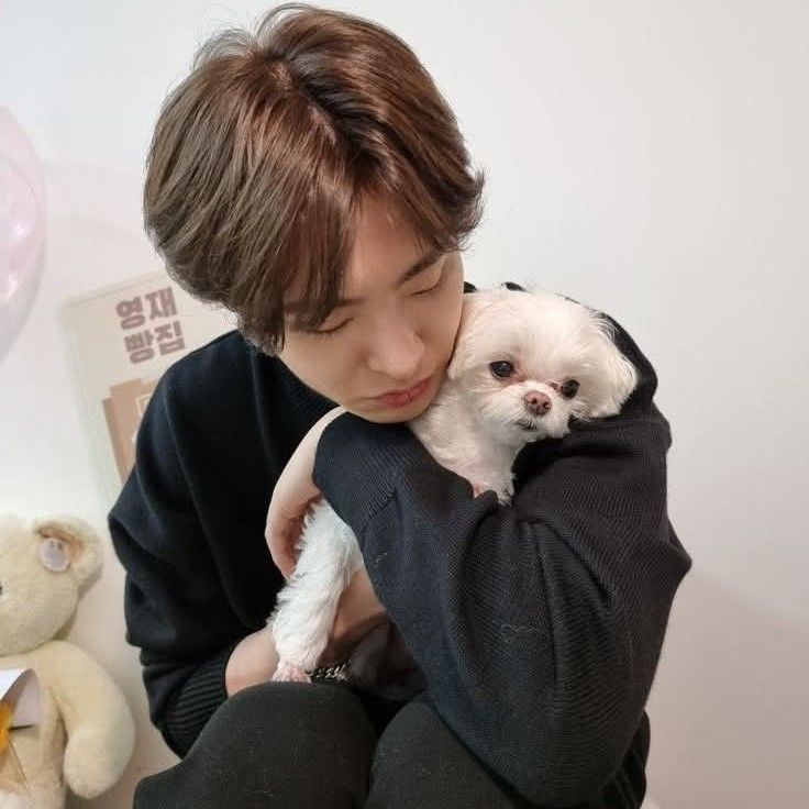 GOT7 팬이 찍은 순간