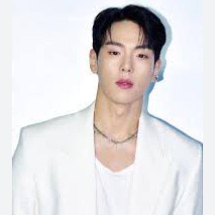 A moment captured by Shownu (MONSTA X)'s fan
