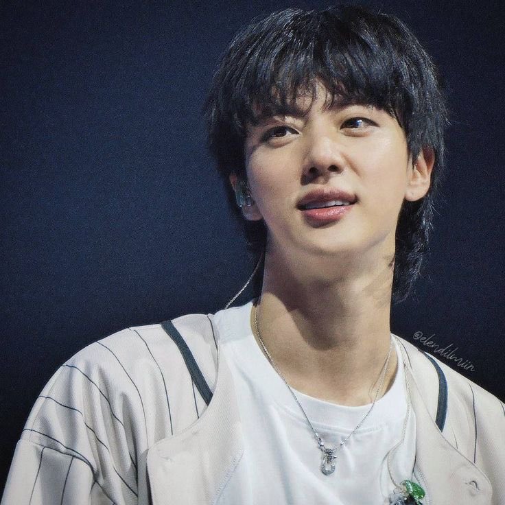 Jin (防彈少年團)的幕後花絮