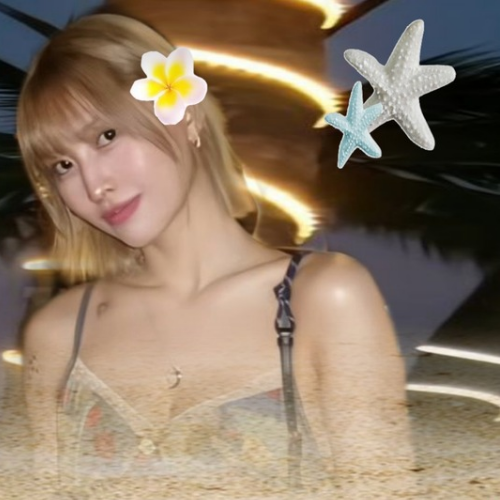 모모 (TWICE) 최근 활동샷