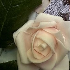 A moment captured by SU A (DREAMCATCHER)'s fan