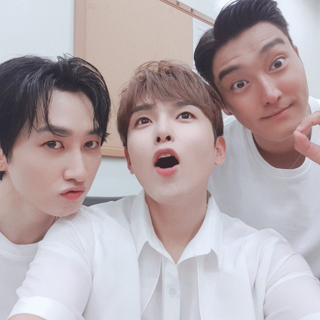Super Junior粉丝拍下的瞬间