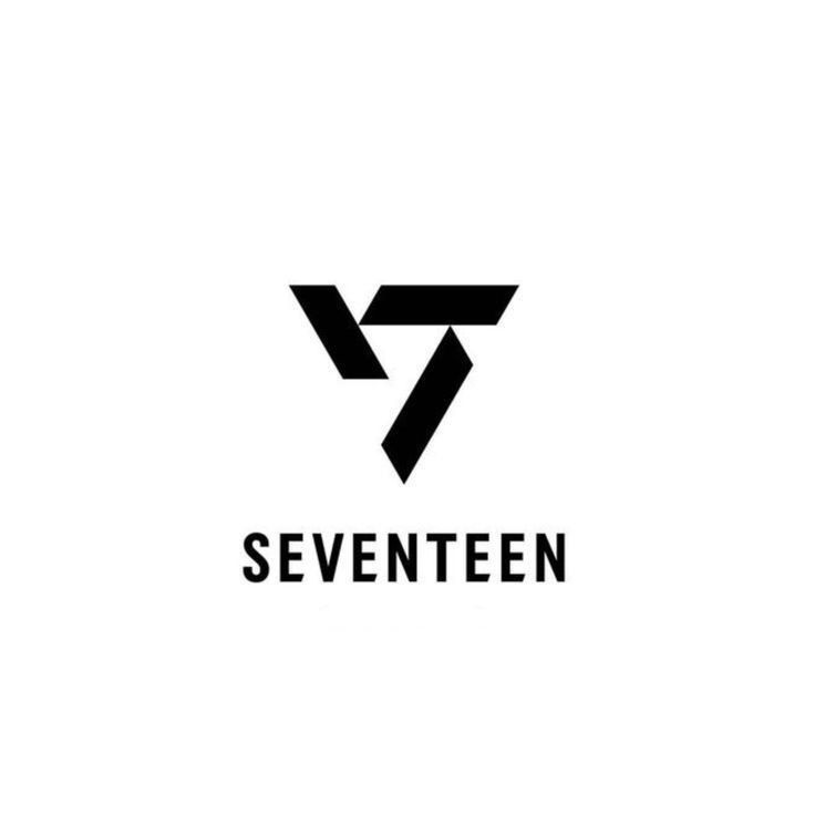 SEVENTEENファンが撮った瞬間