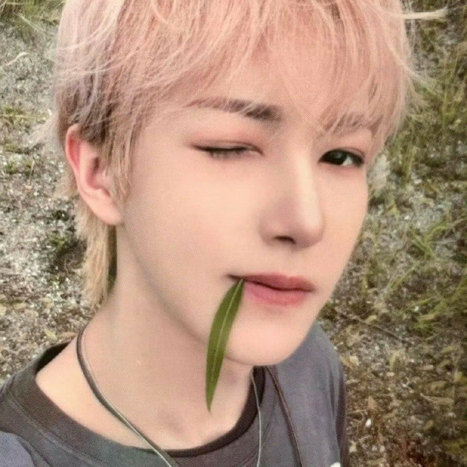 Latest photo of Renjun (NCT DREAM)