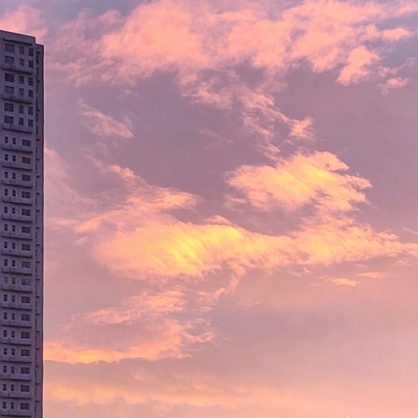 A moment captured by SEVENTEEN's fan