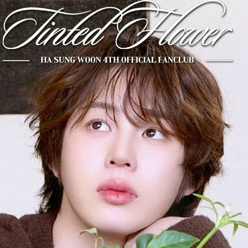 하성운 팬이 찍은 순간