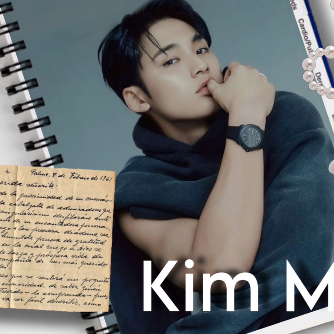 珉奎 (SEVENTEEN)粉丝拍下的瞬间