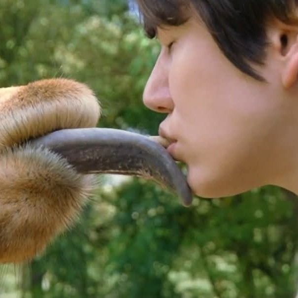 A moment captured by Super Junior's fan