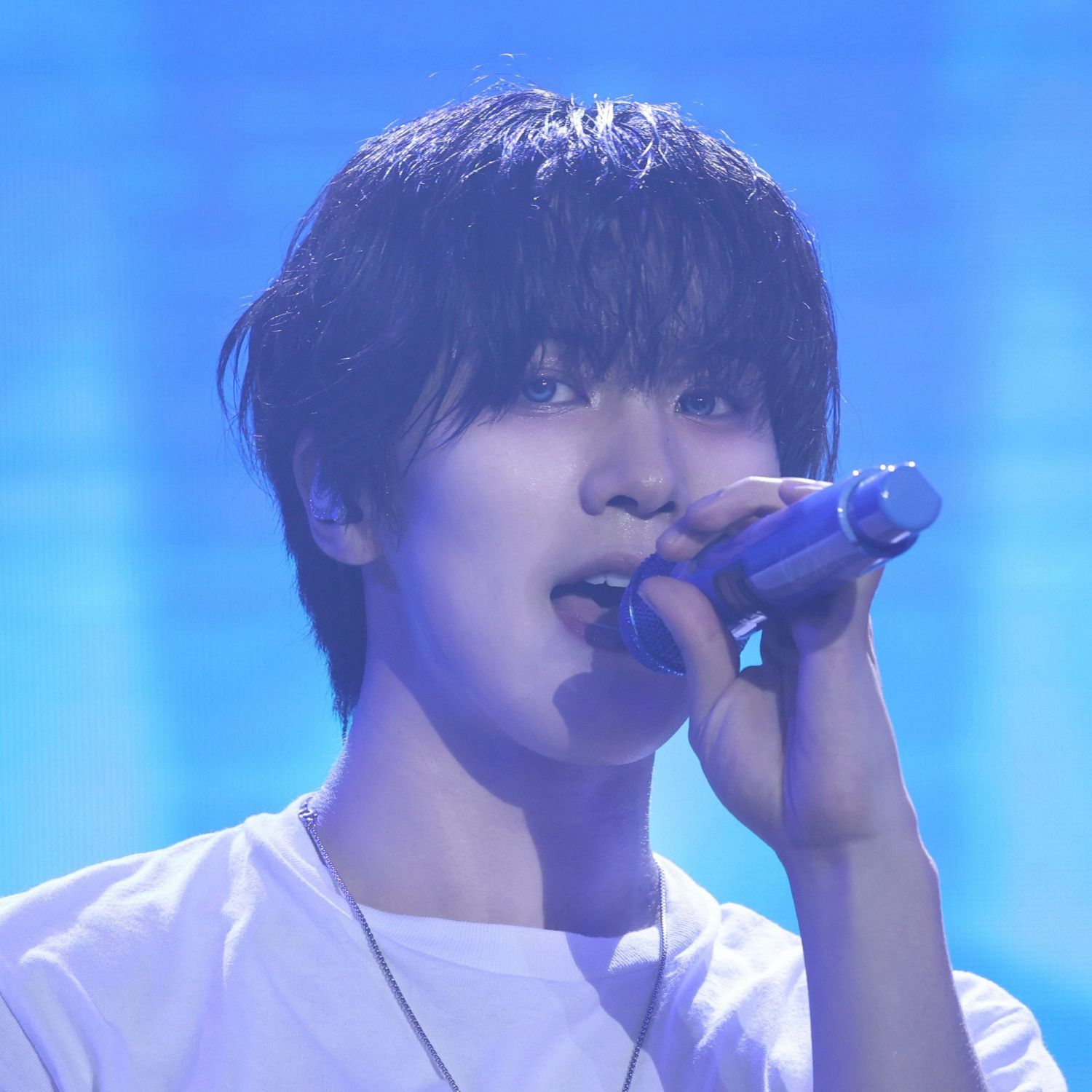 Recent activity shot of Rocky