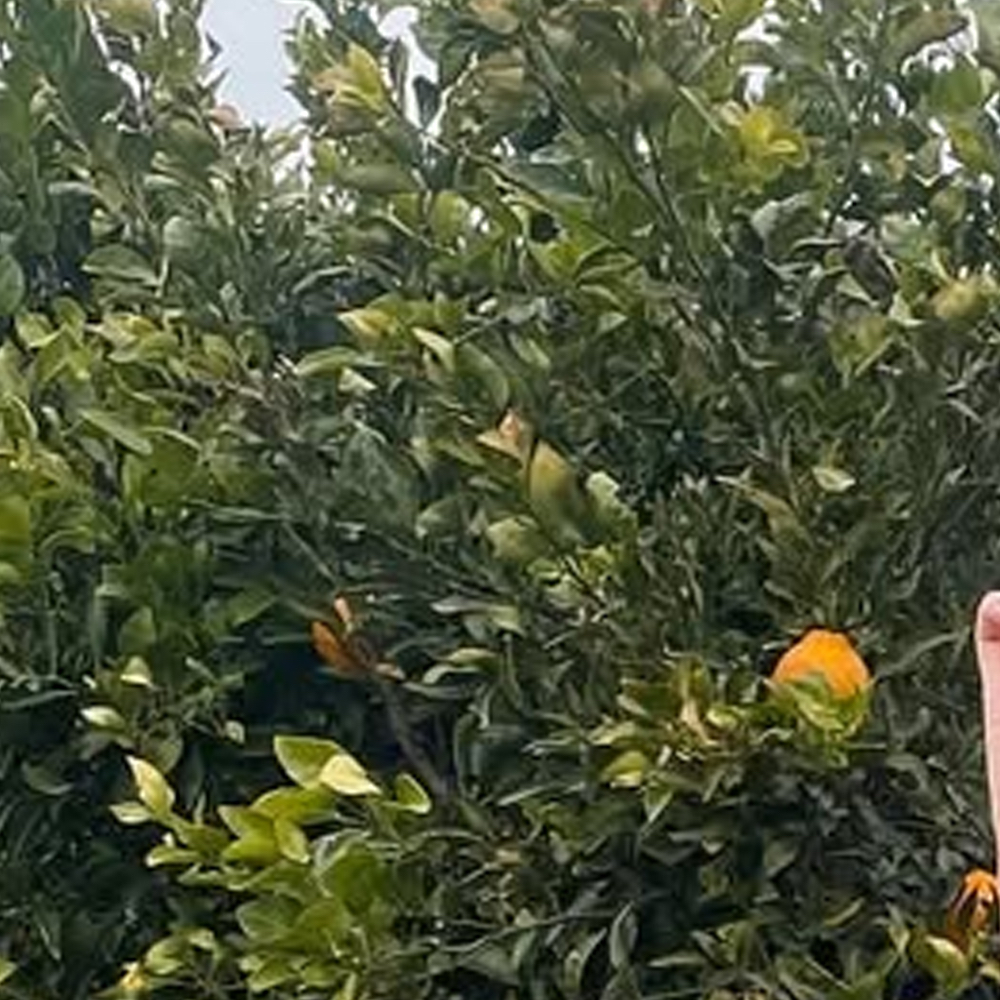 夏瑟 (ARTMS)粉丝拍下的瞬间