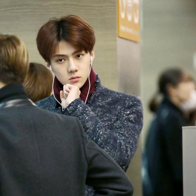 세훈 (EXO) 최근 활동샷