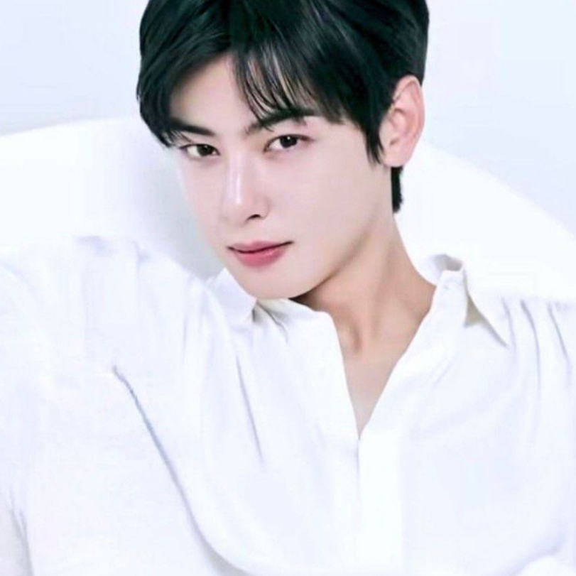 チャ･ウヌ (ASTRO)ファンが撮った瞬間