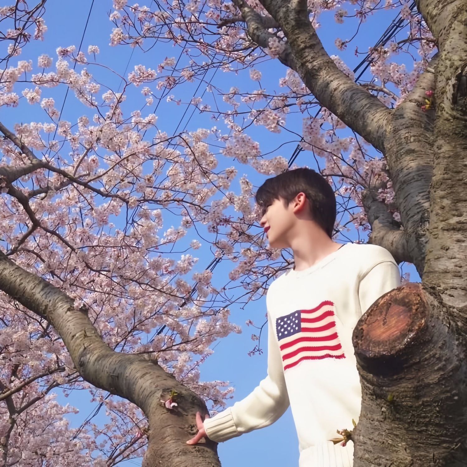 Recent activity shot of Lee Daeul (POLARIX)