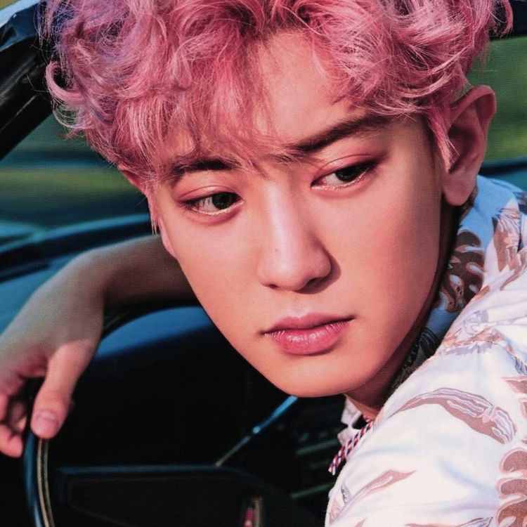 EXO 최근 활동샷