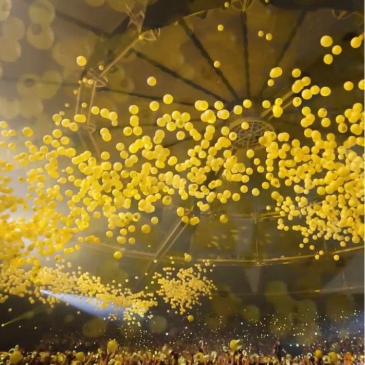 A moment captured by SECHSKIES's fan