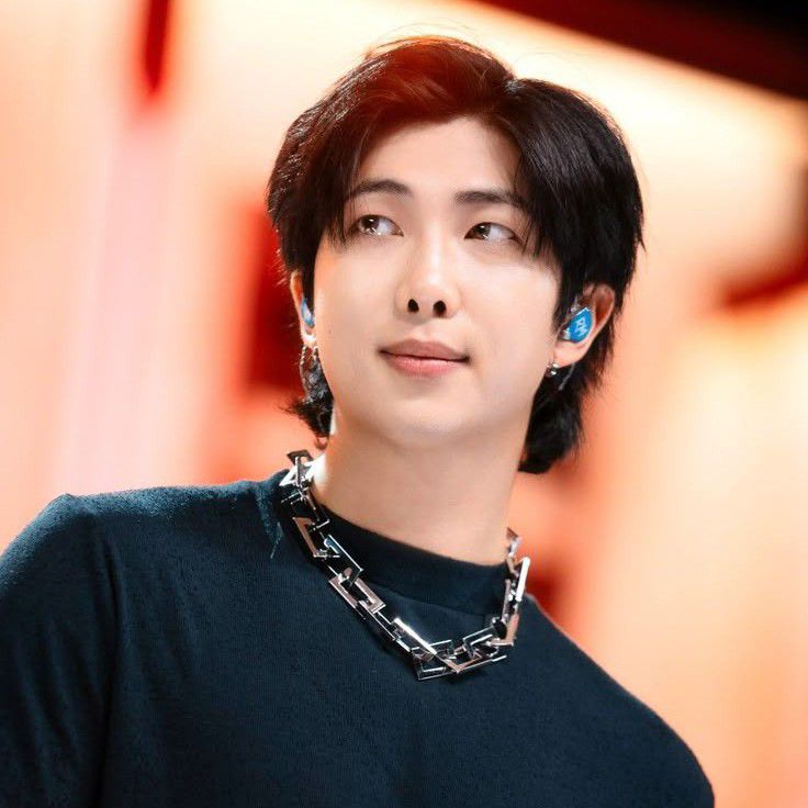 Behind-the-scenes cut of RM (BTS)