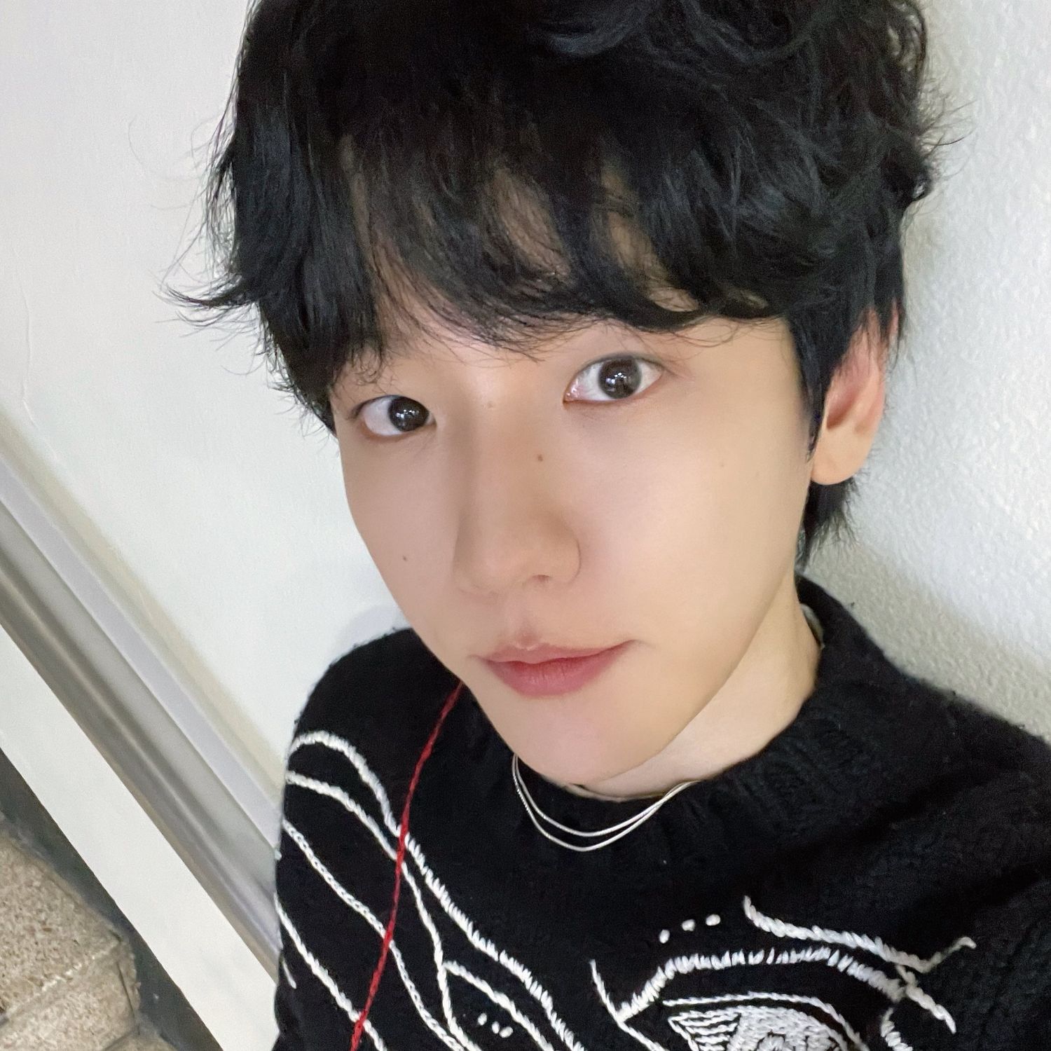 伯賢 (EXO)粉絲拍下的瞬間