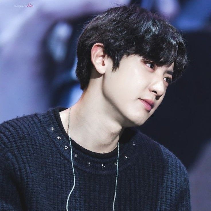 A moment captured by Chanyeol (EXO)'s fan