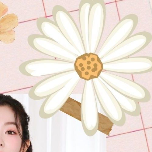 Behind-the-scenes cut of Irene (Red Velvet)