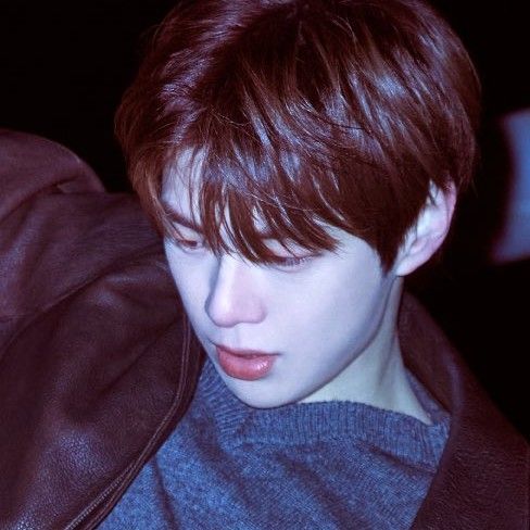 Potret di balik layar Kang Daniel