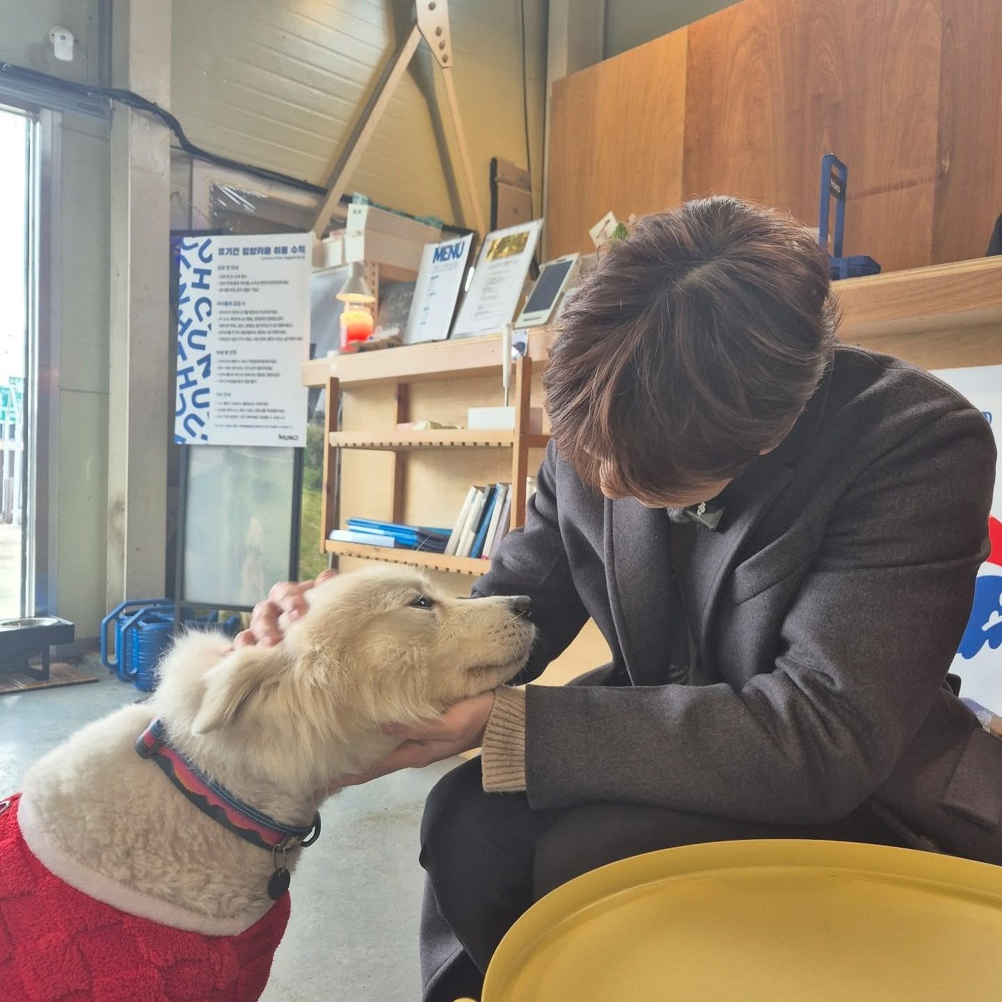 Latest photo of Kang Daniel