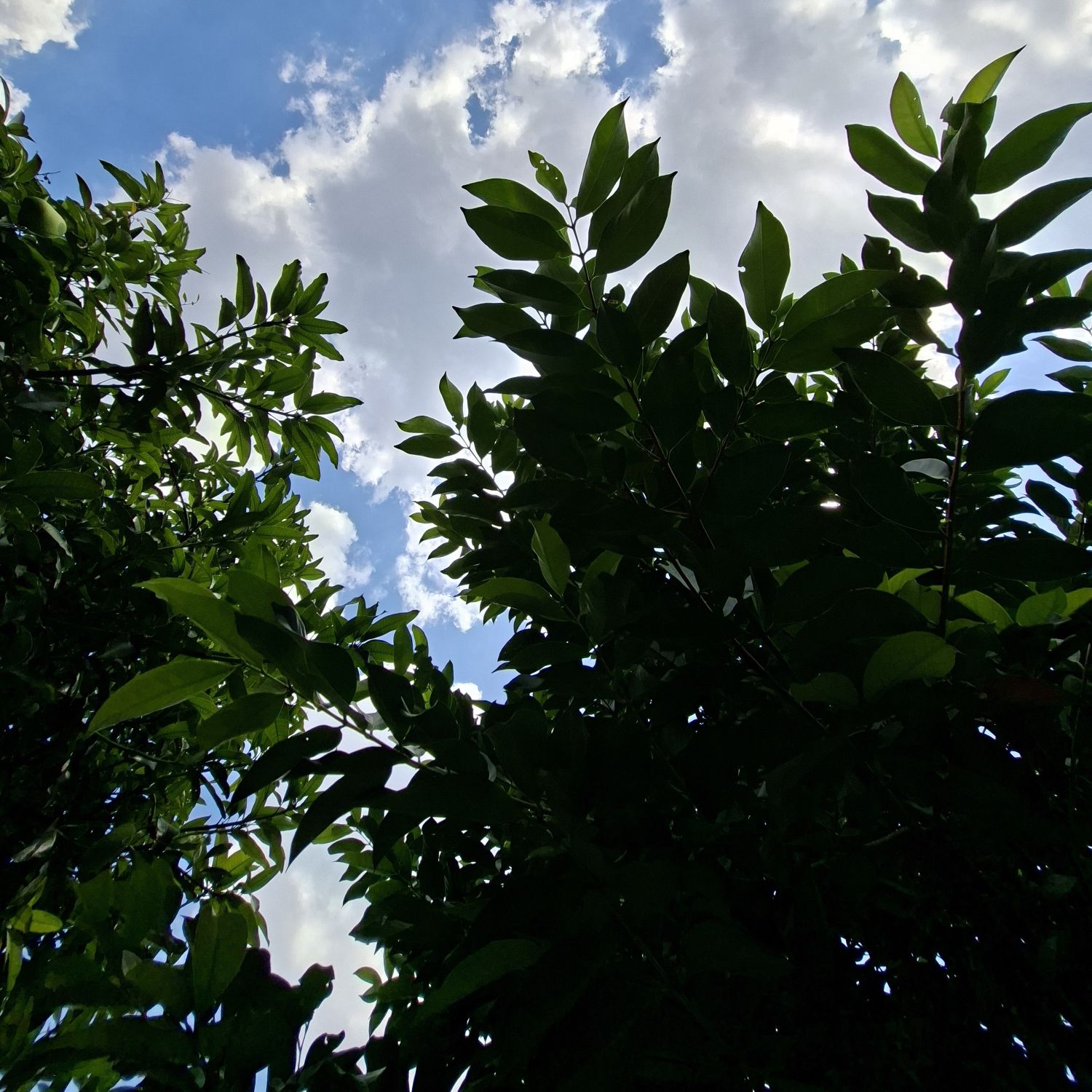 Potret di balik layar Sunghoon (ENHYPEN)