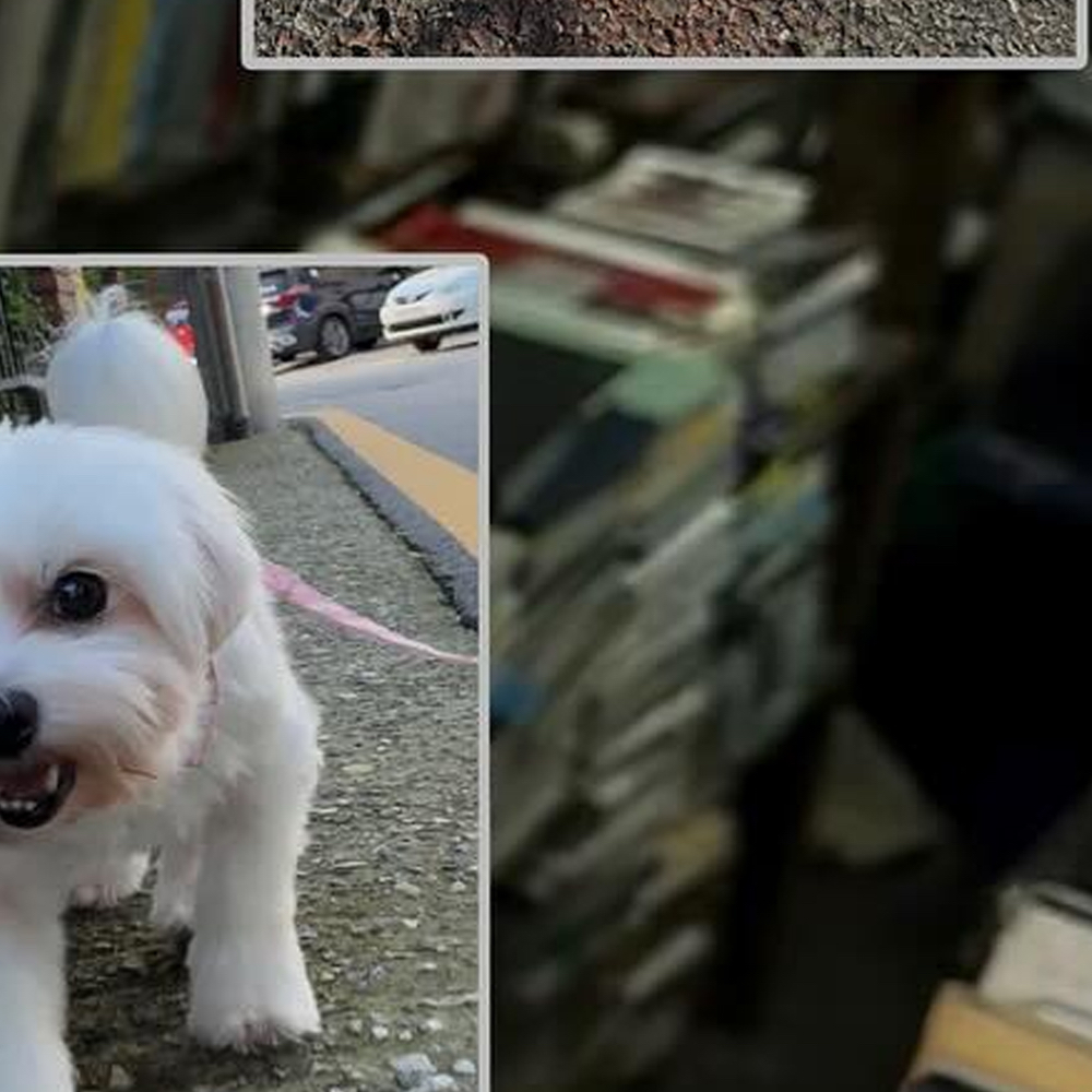 Latest photo of Go Won (Loossemble)