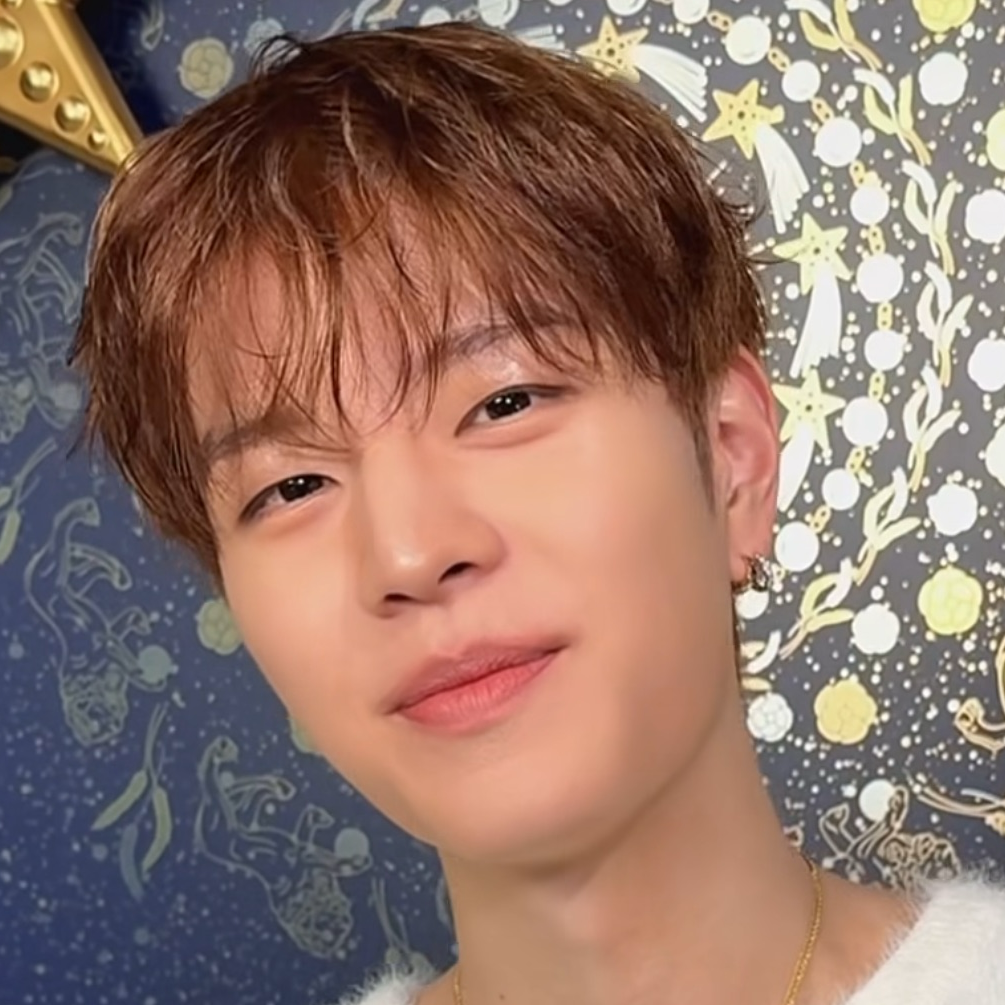 Stray Kids 팬이 찍은 순간