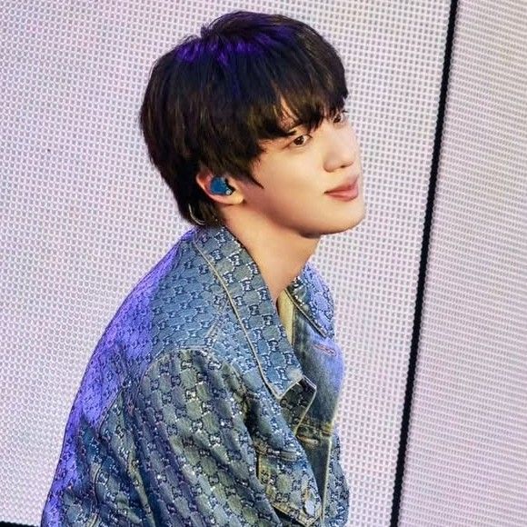 A moment captured by Jin (BTS)'s fan
