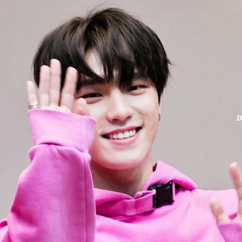 ディノ (SEVENTEEN)ファンが撮った瞬間