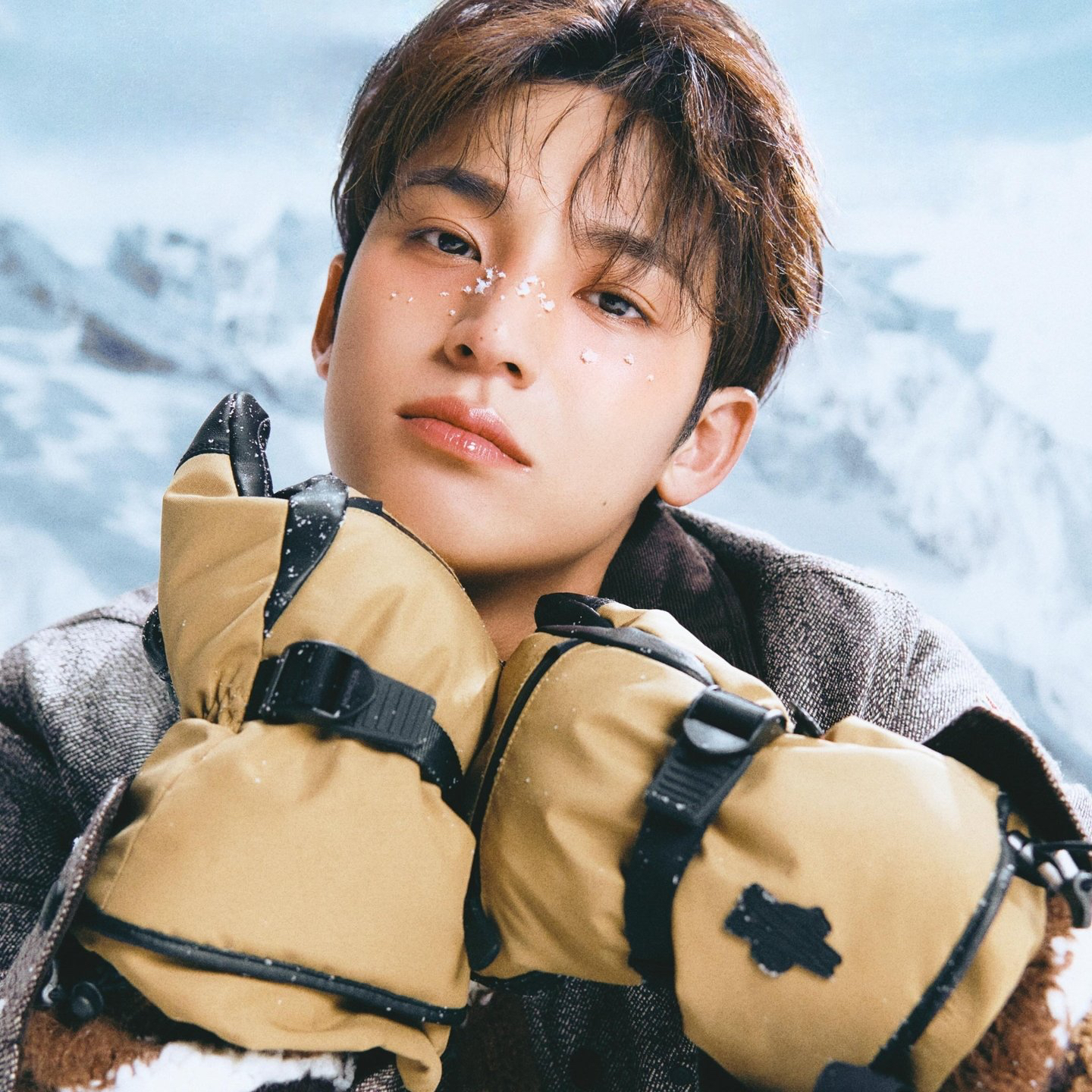Recent activity shot of Mingyu (SEVENTEEN)