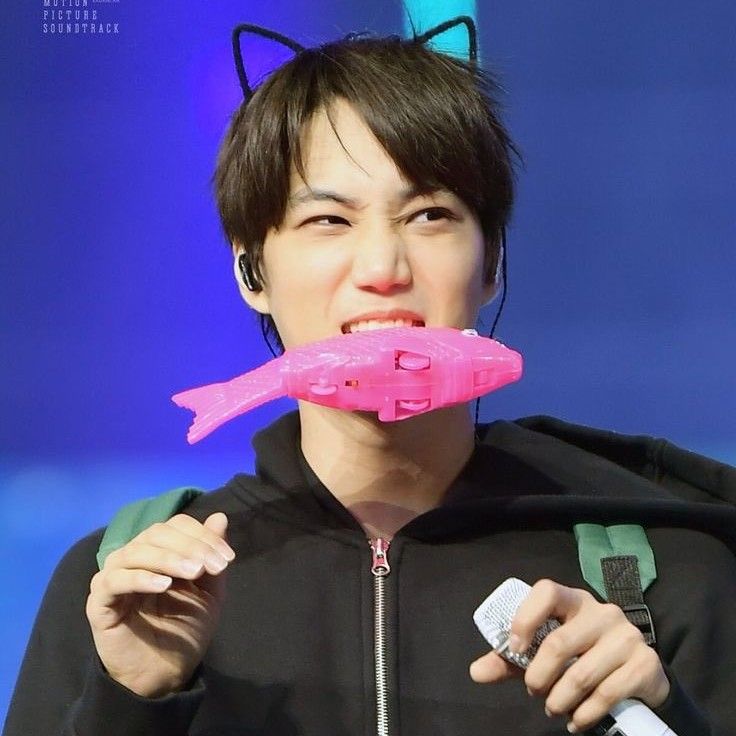 A moment captured by Kai (EXO)'s fan