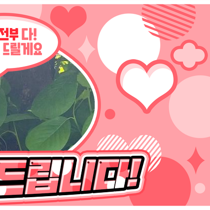 A moment captured by Yoohyeon (DREAMCATCHER)'s fan